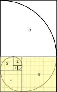 Fibonacci Sequence: Math in Nature - Stress Free Math for Kids